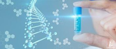 除了手术费二胎囊胚移植还有哪些必要花费？