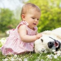 美国试管婴儿医院分布情况及具体地址一览